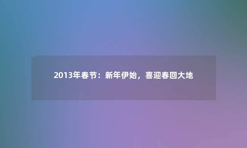 2013年春节:新年伊始,喜迎春回大地 2013年春节:新年伊始,喜迎春回大地