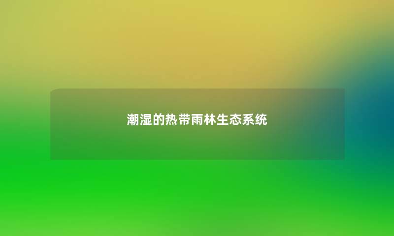 潮湿的热带雨林生态系统 潮湿的热带雨林生态系统