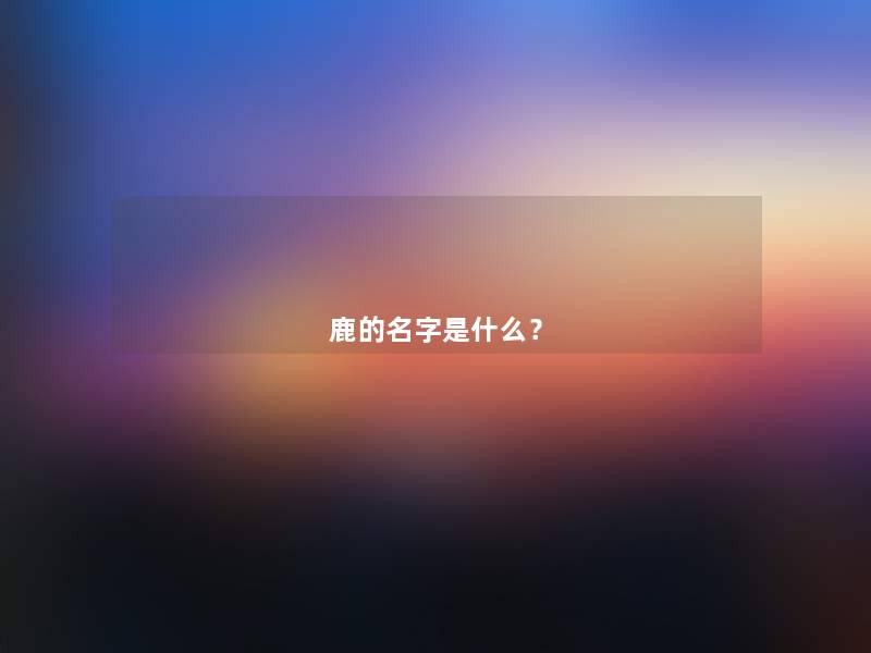 鹿的名字是什么? 鹿的名字是什么?