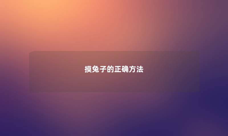 摸兔子的正确方法