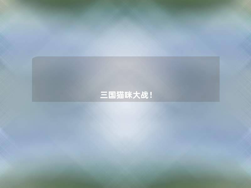 三国猫咪大战！