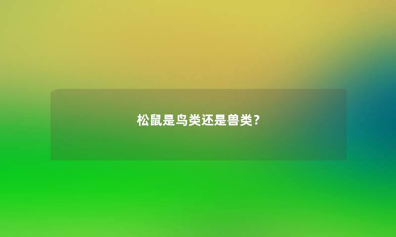 松鼠是鸟类还是兽类? 松鼠是鸟类还是兽类?