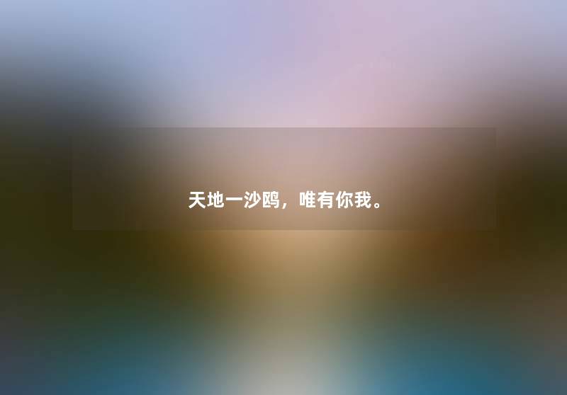 天地一沙鸥，唯有你我。