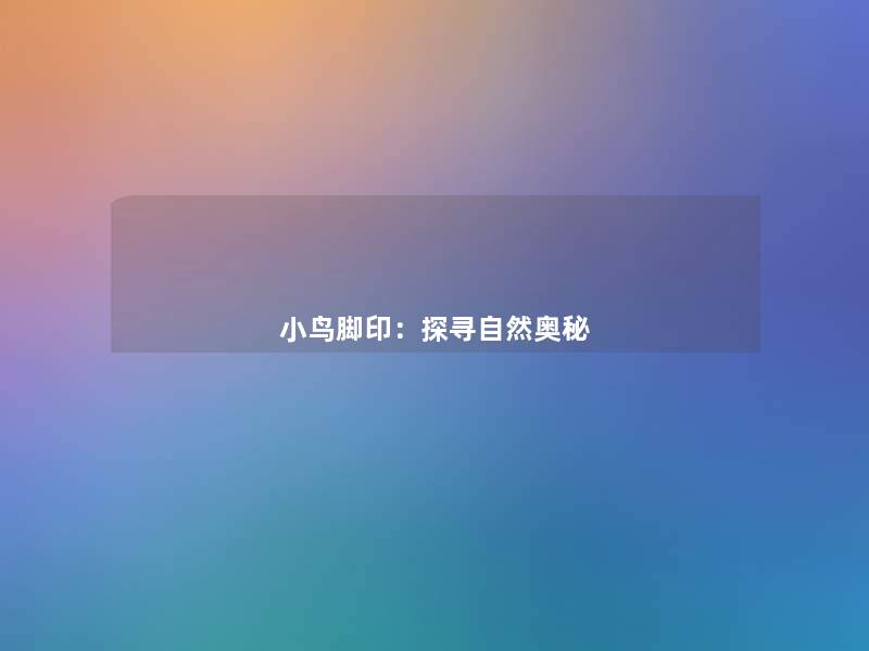 小鸟脚印：探寻自然奥秘
