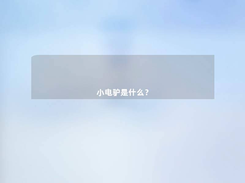 小电驴是什么？