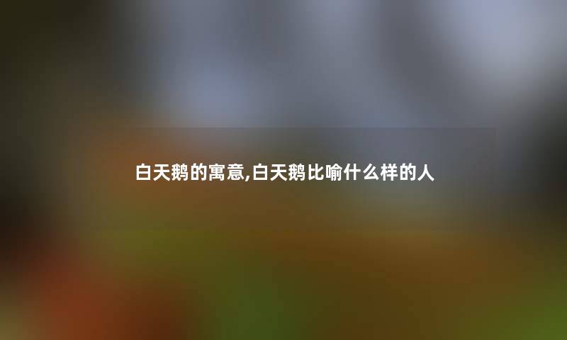 白天鹅的寓意,白天鹅比喻什么样的人