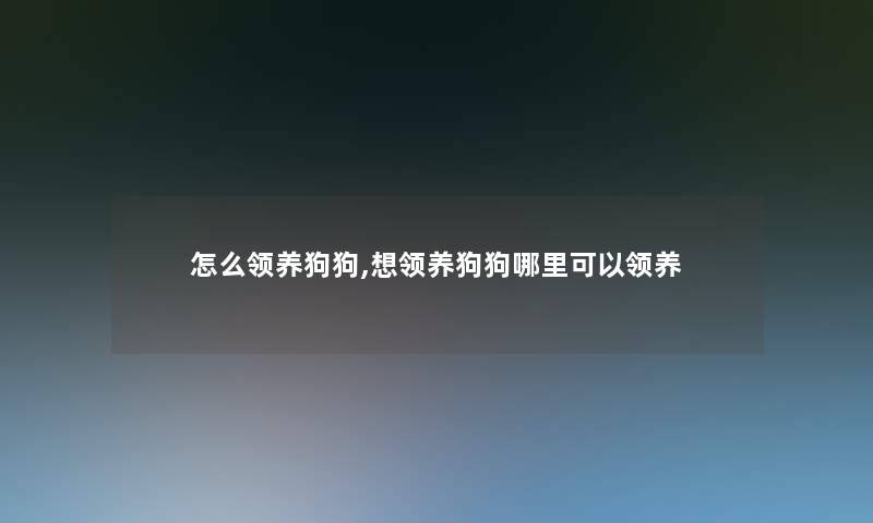 怎么领养狗狗,想领养狗狗哪里可以领养 怎么领养狗狗,想领养狗狗哪里可以领养