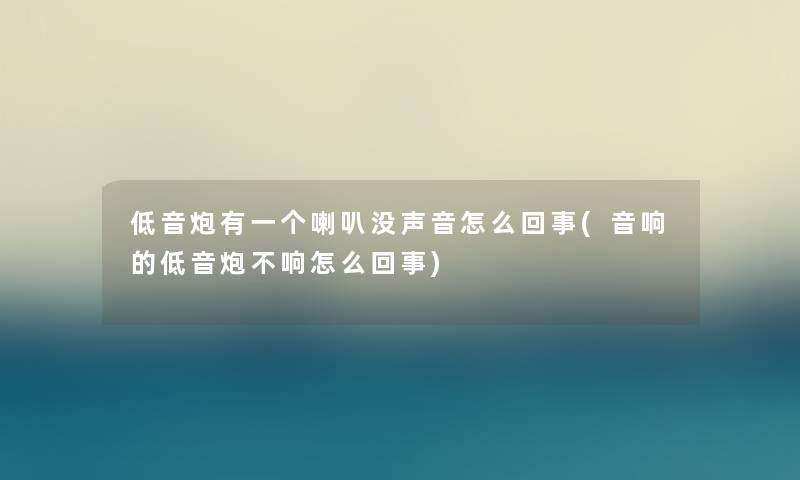 低音炮有一个喇叭没声音怎么回事(音响的低音炮不响怎么回事)