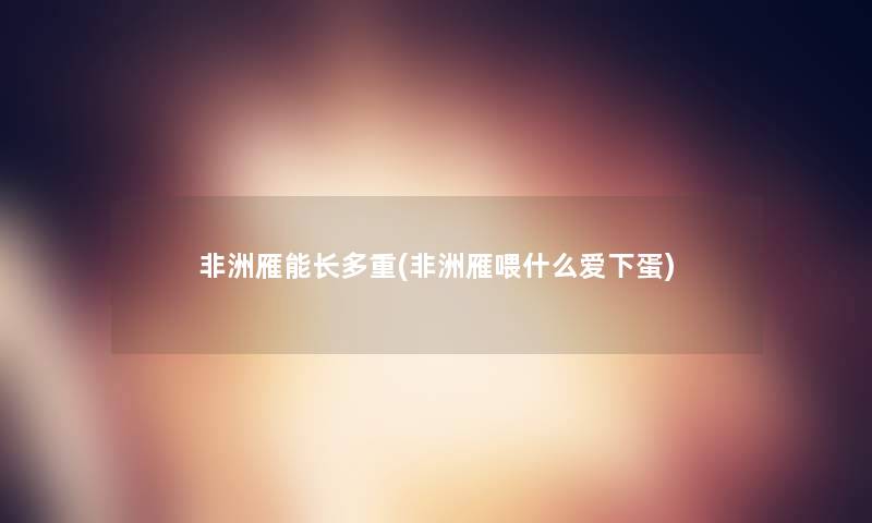 非洲雁能长多重(非洲雁喂什么爱下蛋)