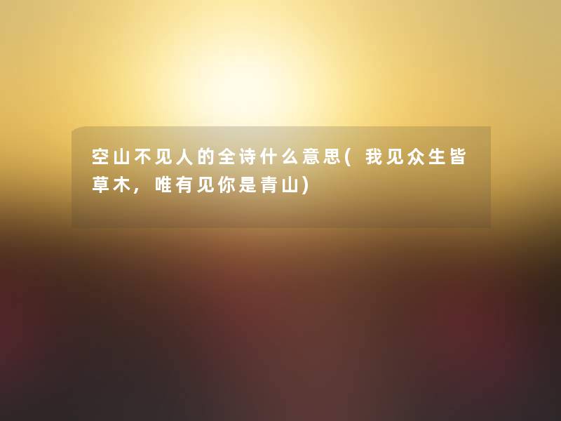 空山不见人的全诗什么意思(我见众生皆草木,唯有见你是青山)