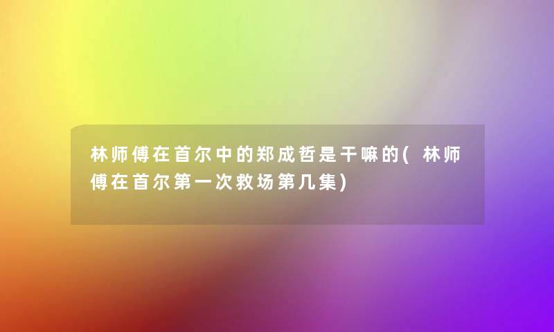 林师傅在首尔中的郑成哲是干嘛的(林师傅在首尔第一次救场第几集)