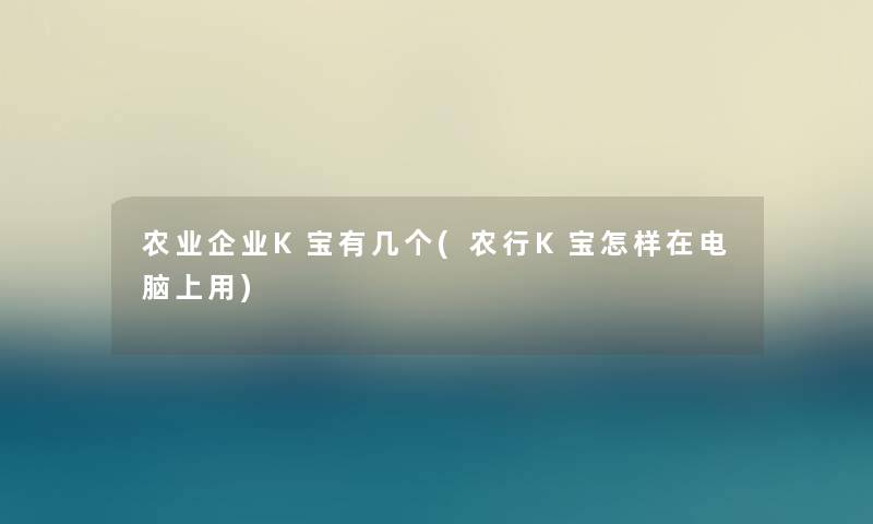 农业企业K宝有几个(农行K宝怎样在电脑上用) 农业企业K宝有几个(农行K宝怎样在电脑上用)