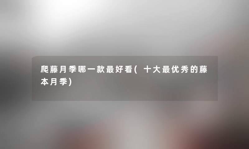 爬藤月季哪一款好看(一些优秀的藤本月季)