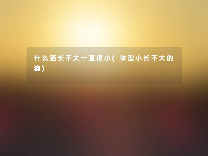 什么猫长不大一直很小(体型小长不大的猫) 什么猫长不大一直很小(体型小长不大的猫)