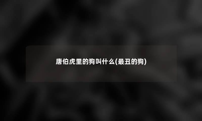 唐伯虎里的狗叫什么(丑的狗) 唐伯虎里的狗叫什么(丑的狗)