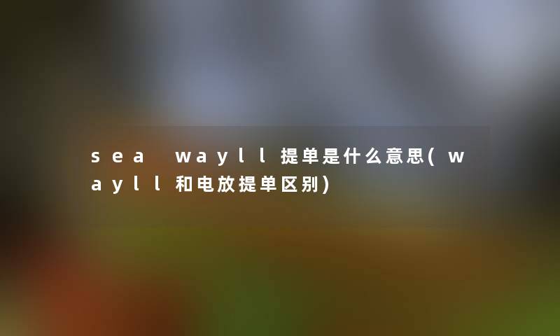 sea wayll提单是什么意思(wayll和电放提单区别) sea wayll提单是什么意思(wayll和电放提单区别)