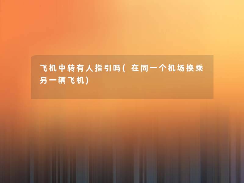 飞机中转有人指引吗(在同一个机场换乘另一辆飞机)