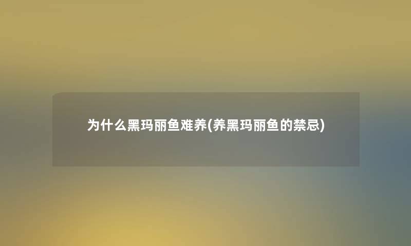 为什么黑玛丽鱼难养(养黑玛丽鱼的禁忌)