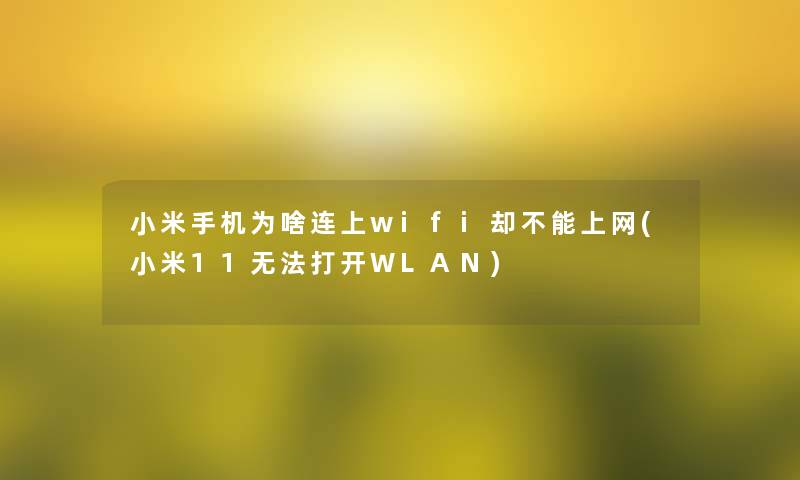 小米手机为啥连上wifi却不能上网(小米11无法打开WLAN) 小米手机为啥连上wifi却不能上网(小米11无法打开WLAN)
