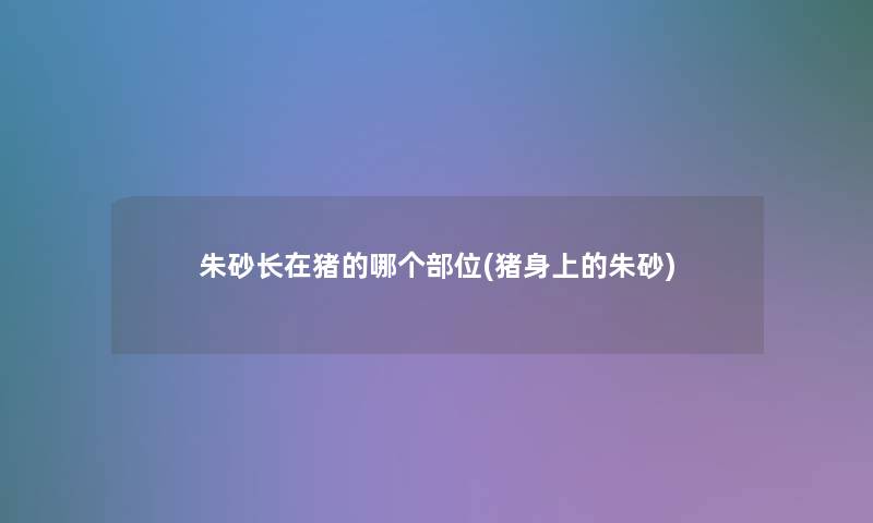 朱砂长在猪的哪个部位(猪身上的朱砂) 朱砂长在猪的哪个部位(猪身上的朱砂)