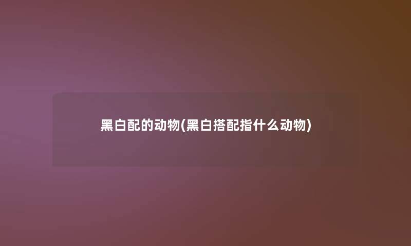 黑白配的动物(黑白搭配指什么动物)