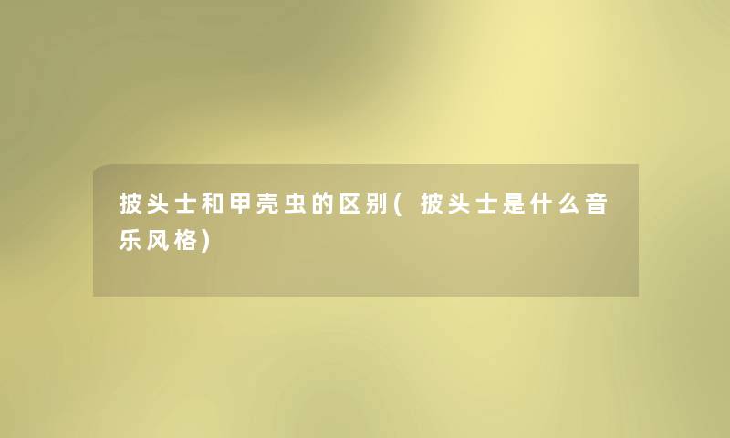 披头士和甲壳虫的区别(披头士是什么音乐风格)