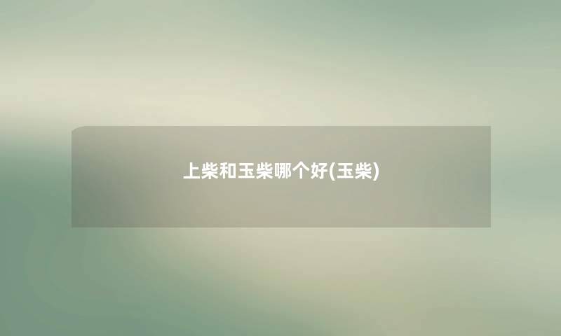上柴和玉柴哪个好(玉柴) 上柴和玉柴哪个好(玉柴)