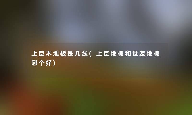 上臣木地板是几线(上臣地板和世友地板哪个好) 上臣木地板是几线(上臣地板和世友地板哪个好)