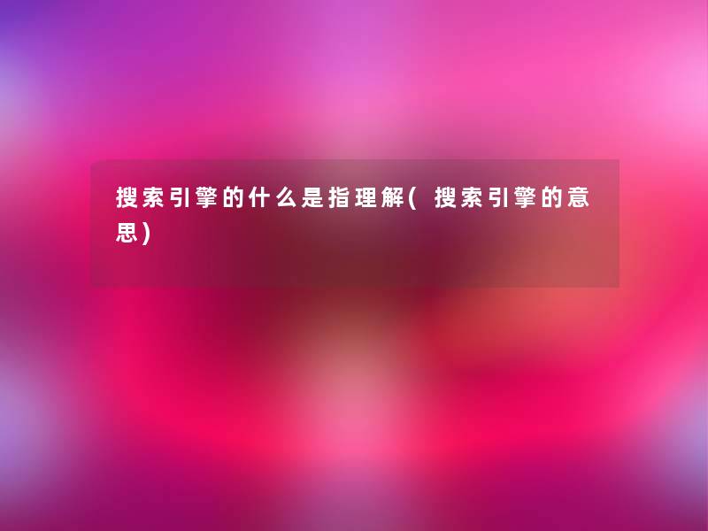 搜索引擎的什么是指理解(搜索引擎的意思)