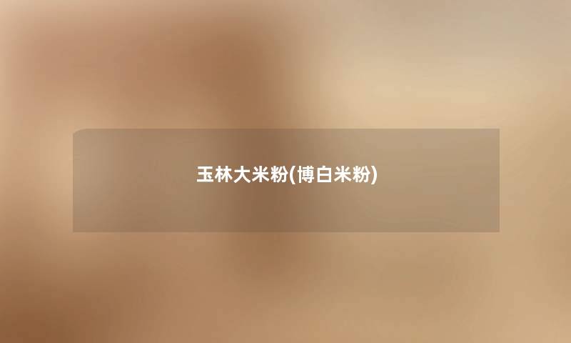 玉林大米粉(博白米粉) 玉林大米粉(博白米粉)