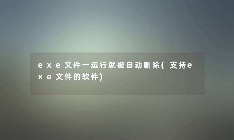 exe文件一运行就被自动删除(支持exe文件的软件)