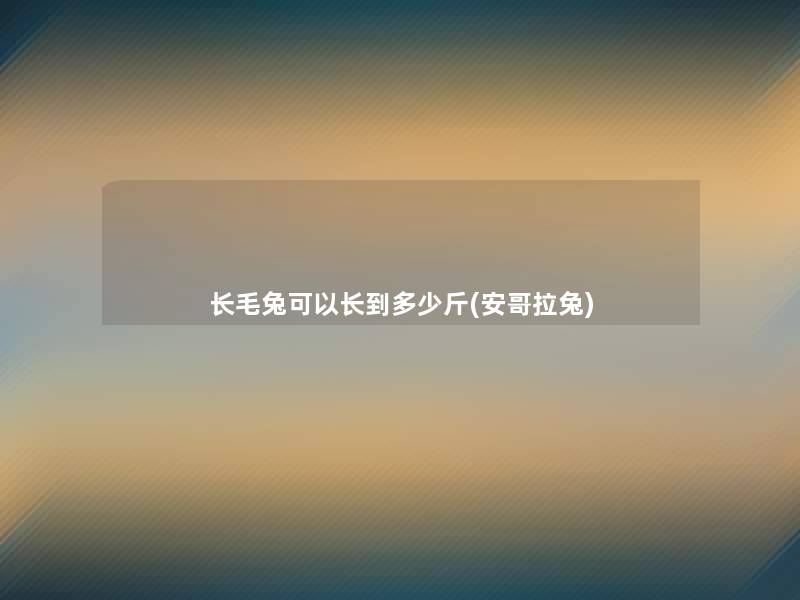 长毛兔可以长到多少斤(安哥拉兔) 长毛兔可以长到多少斤(安哥拉兔)