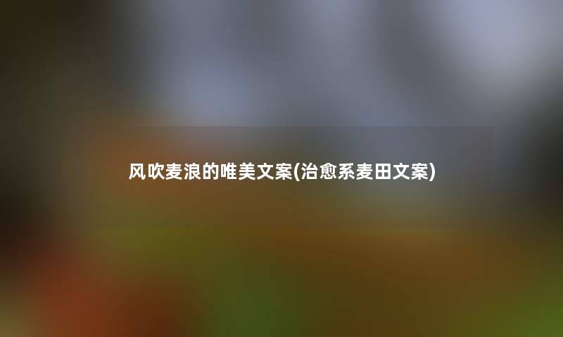 风吹麦浪的唯美文案(治愈系麦田文案) 风吹麦浪的唯美文案(治愈系麦田文案)