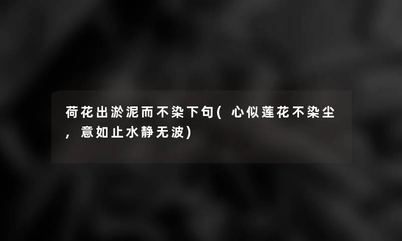 荷花出淤泥而不染下句(心似莲花不染尘,意如止水静无波)
