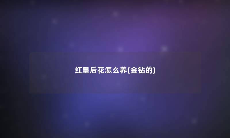 红皇后花怎么养(金钻的) 红皇后花怎么养(金钻的)