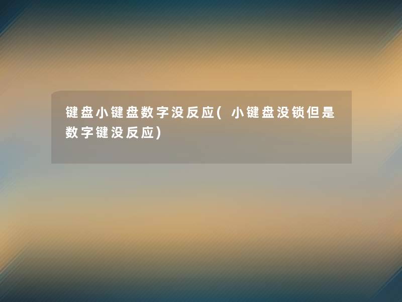 键盘小键盘数字没反应(小键盘没锁但是数字键没反应)