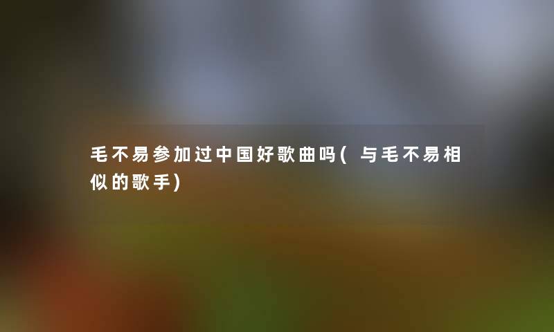 毛不易参加过中国好歌曲吗(与毛不易相似的歌手)