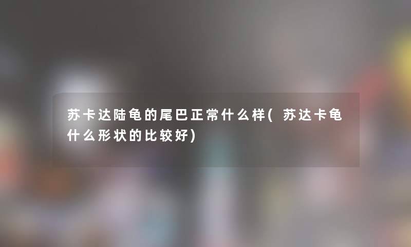 苏卡达陆龟的尾巴正常什么样(苏达卡龟什么形状的比较好) 苏卡达陆龟的尾巴正常什么样(苏达卡龟什么形状的比较好)