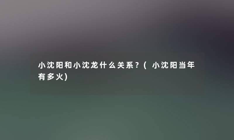 小沈阳和小沈龙什么关系？(小沈阳当年有多火)