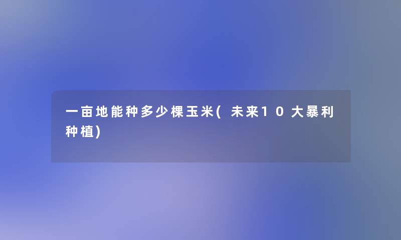 一亩地能种多少棵玉米(未来10大暴利种植) 一亩地能种多少棵玉米(未来10大暴利种植)