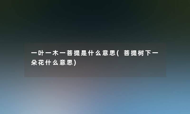 一叶一木一菩提是什么意思(菩提树下一朵花什么意思) 一叶一木一菩提是什么意思(菩提树下一朵花什么意思)