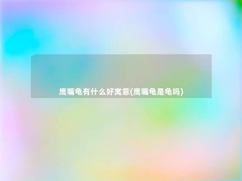 鹰嘴龟有什么好寓意(鹰嘴龟是龟吗)