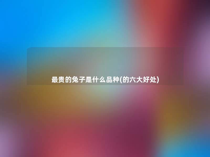 贵的兔子是什么品种(的六大好处) 贵的兔子是什么品种(的六大好处)