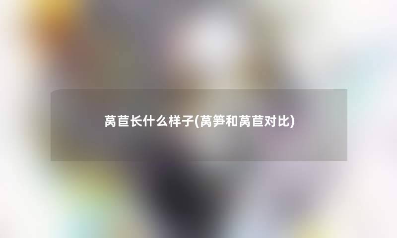 莴苣长什么样子(莴笋和莴苣对比) 莴苣长什么样子(莴笋和莴苣对比)