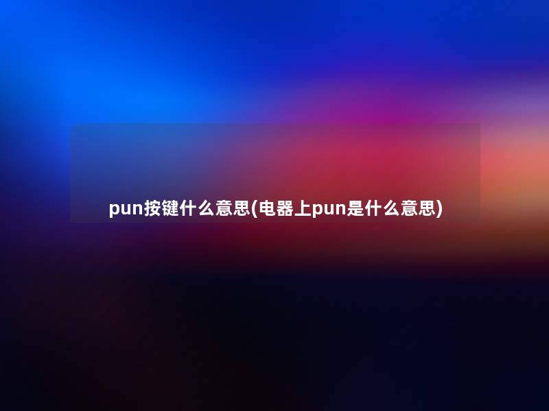 pun按键什么意思(电器上pun是什么意思) pun按键什么意思(电器上pun是什么意思)