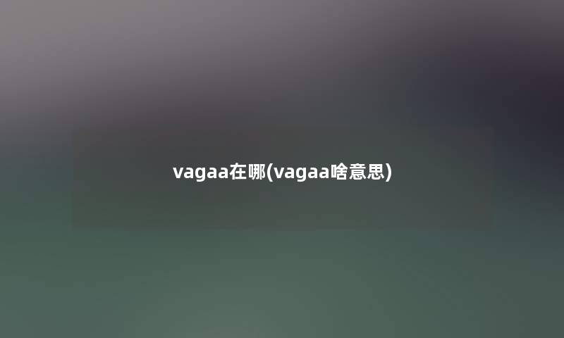 vagaa在哪(vagaa啥意思) vagaa在哪(vagaa啥意思)