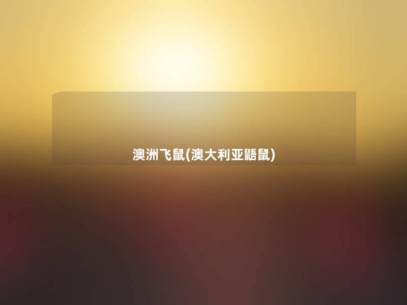 澳洲飞鼠(澳大利亚鼯鼠) 澳洲飞鼠(澳大利亚鼯鼠)