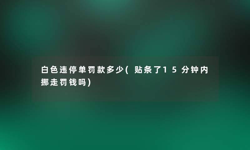 白色违停单罚款多少(贴条了15分钟内挪走罚钱吗)
