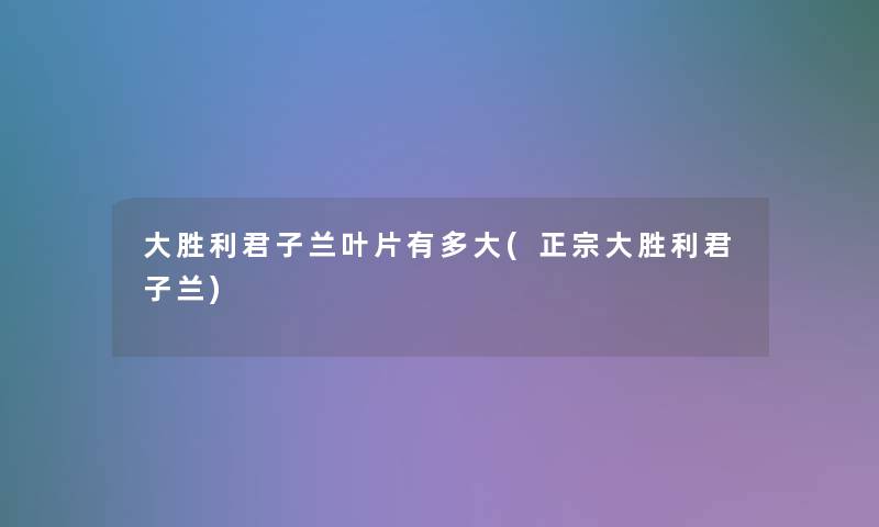 大胜利君子兰叶片有多大(正宗大胜利君子兰)