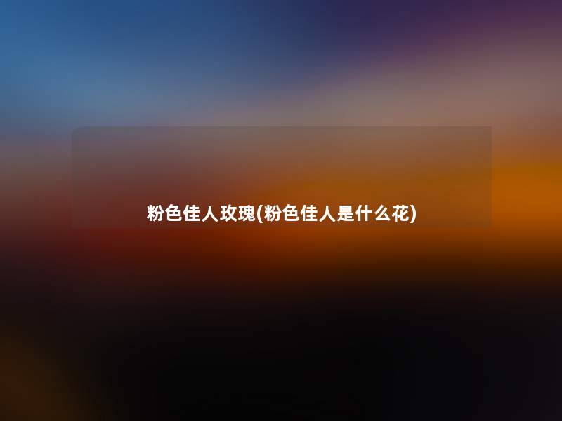 粉色佳人玫瑰(粉色佳人是什么花)